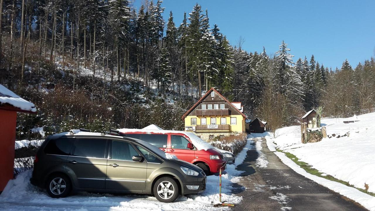 Pension Vladimir Janske Lazne Exterior photo