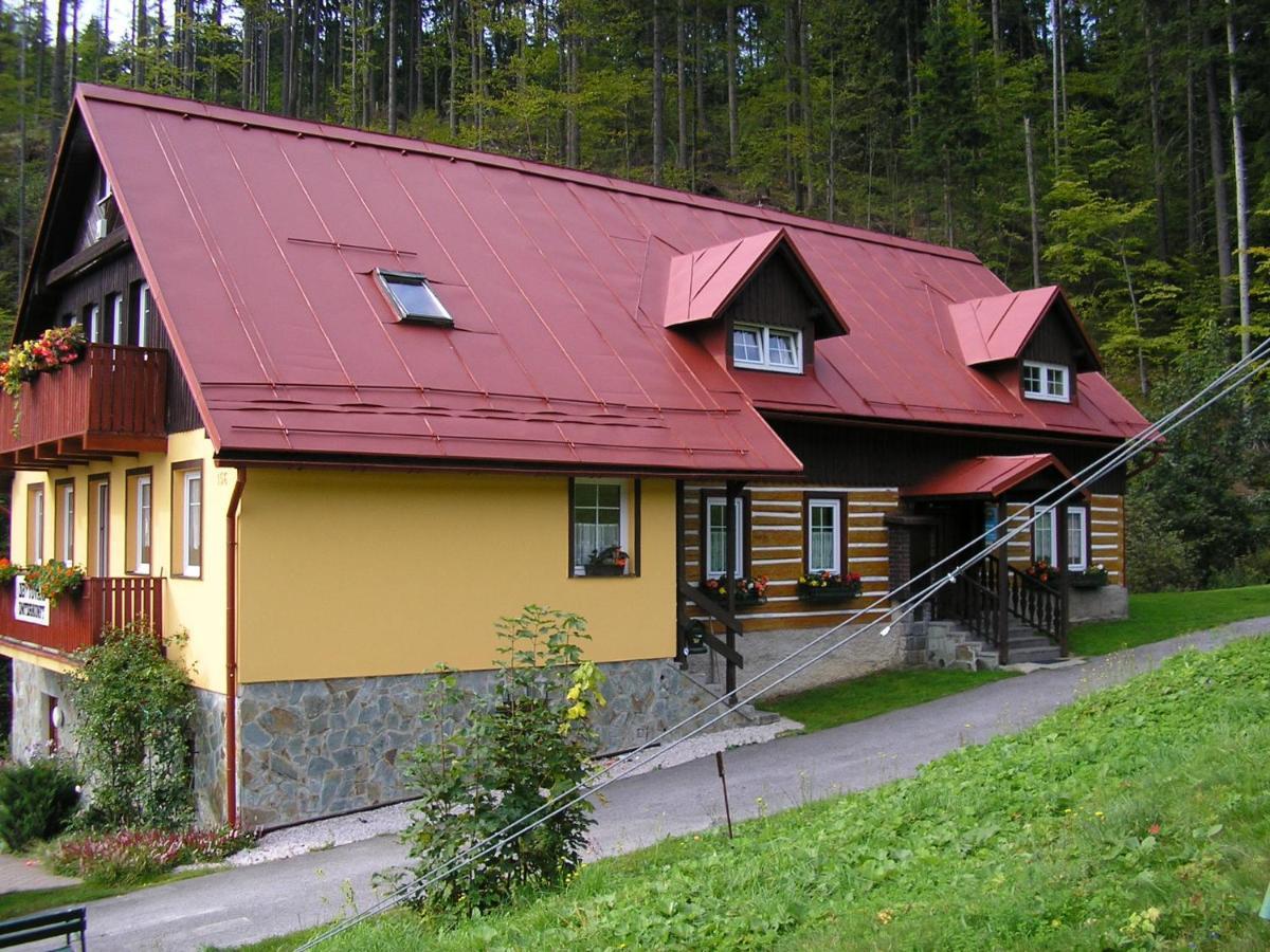 Pension Vladimir Janske Lazne Exterior photo